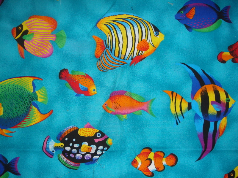 Pesci multicolori